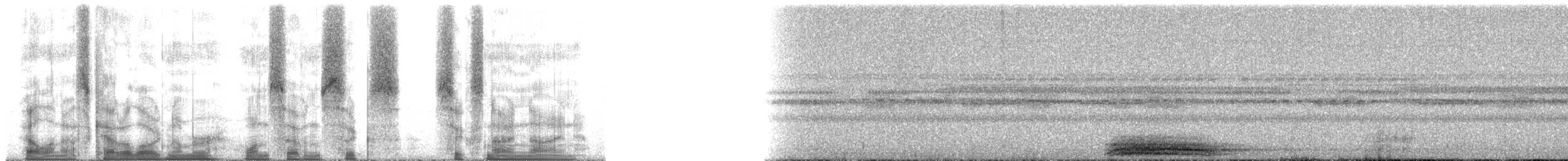 Crisocione - ML176699