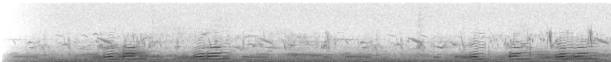 Gray Crowned-Crane - ML176712691