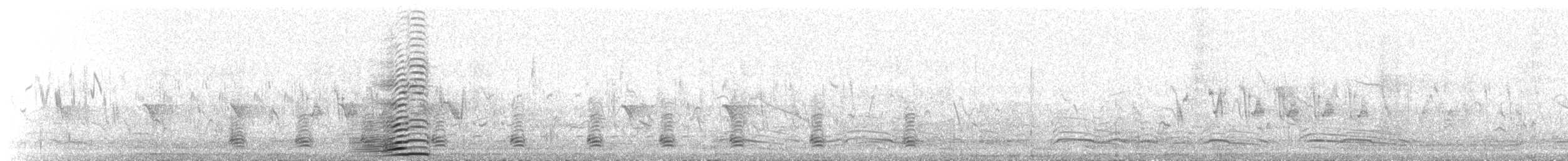 Gray Crowned-Crane - ML176712781