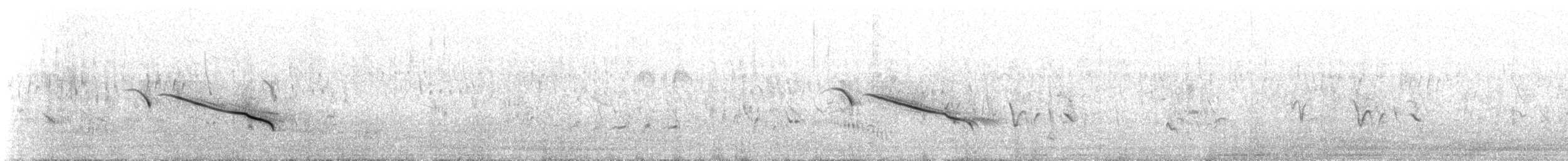 Alouette à long bec (curvirostris/falcirostris) - ML176716351