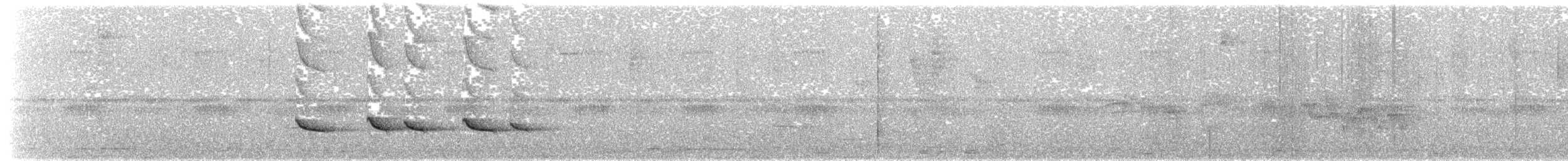 Белокрылый бекард - ML176727571