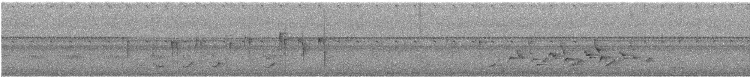 Поплітник каролінський - ML176744691