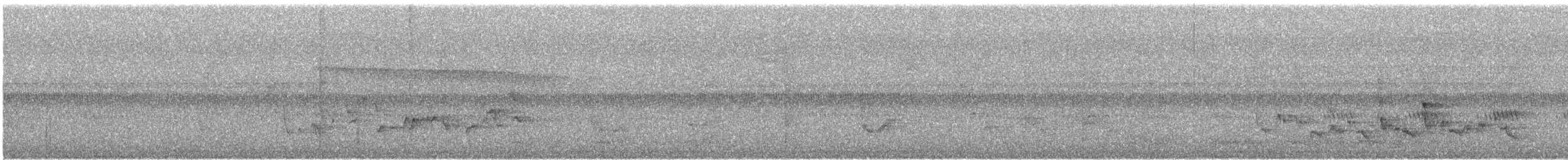 Поплітник каролінський - ML176744701