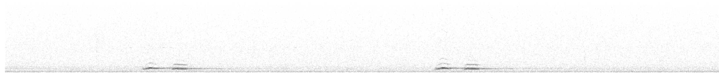 Nínox Australiano (grupo boobook) - ML176766361