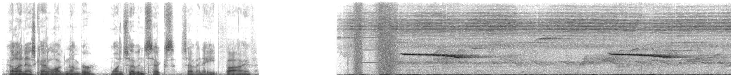 Néocossyphe à queue rousse - ML176785