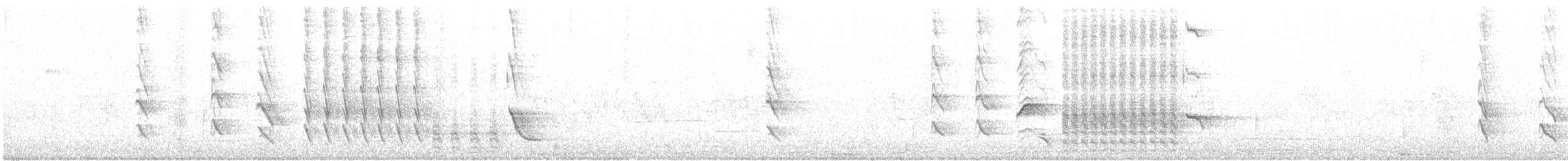 Austral Blackbird - ML176785211