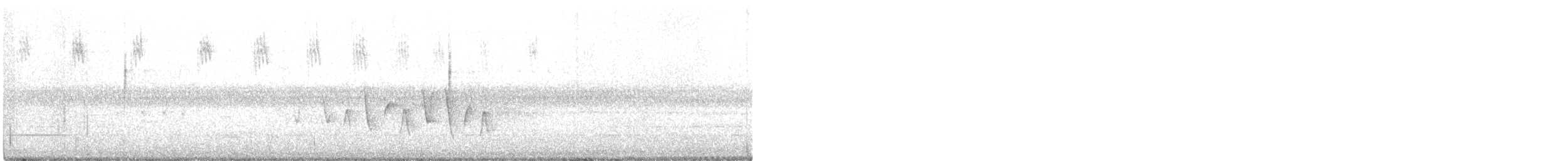 Connecticut Warbler - ML176855341
