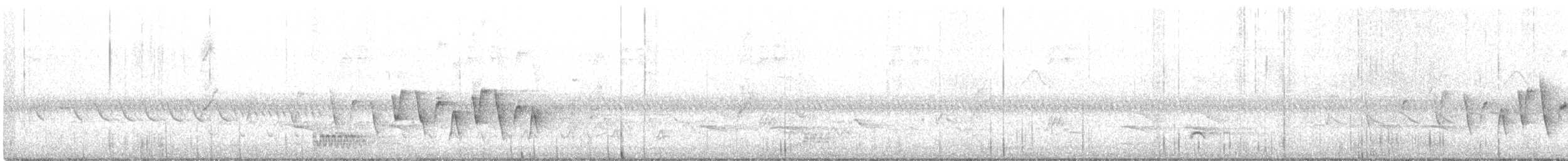 Connecticut Warbler - ML176855701