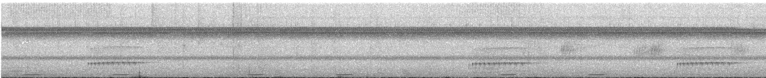 Карликовый тоди-тиранн - ML176885311