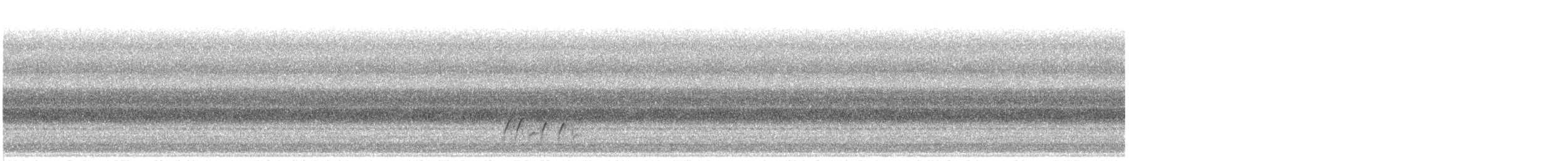 Прерийный кроншнеп - ML176887441