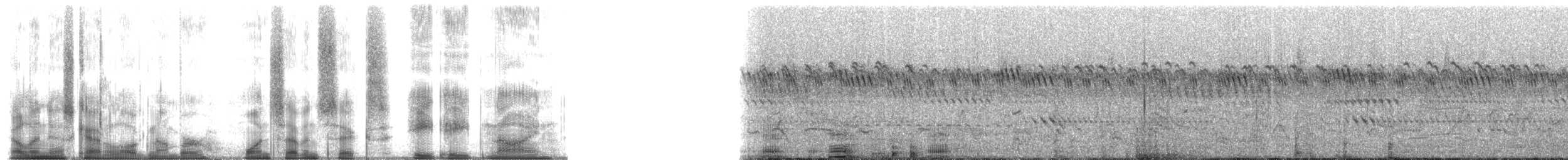 Common Hippopotamus - ML176889