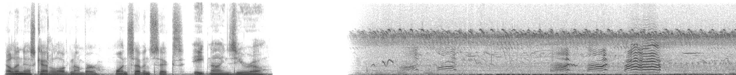 Hadada Ibis - ML176890