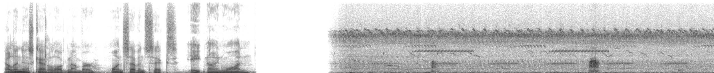 Northern Bushbuck - ML176891