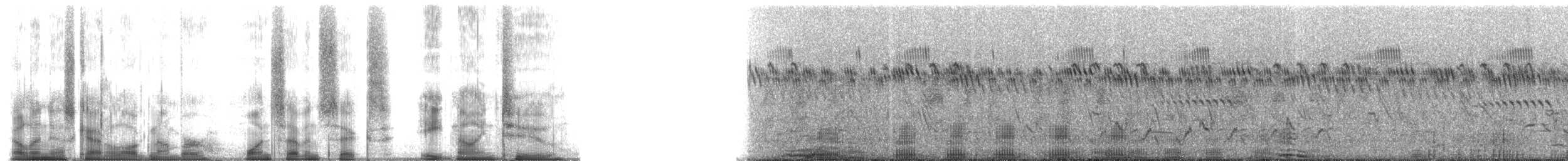 Common Hippopotamus - ML176892