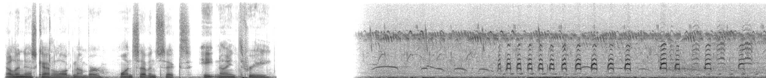 shorebird sp. - ML176893