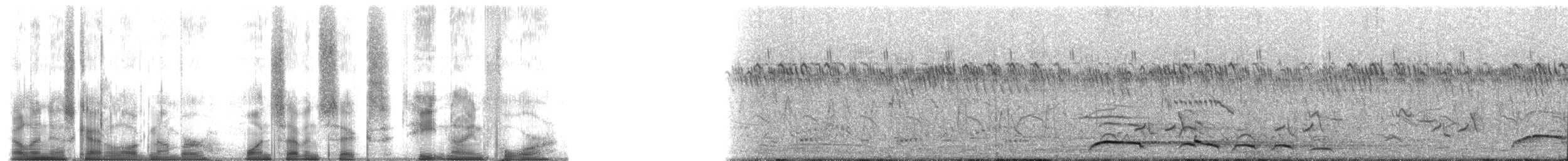 Schreiseeadler - ML176894