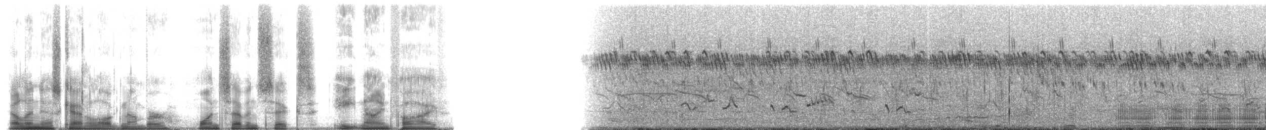 Common Hippopotamus - ML176895