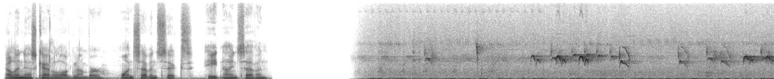 Black-headed Apalis - ML176897