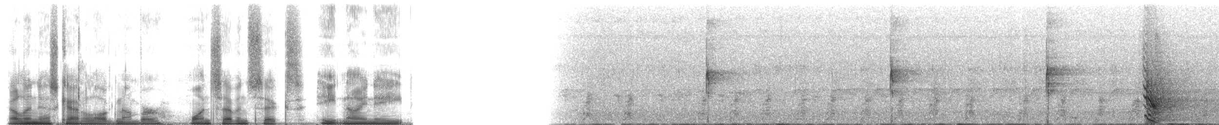 Blue Monkey - ML176898