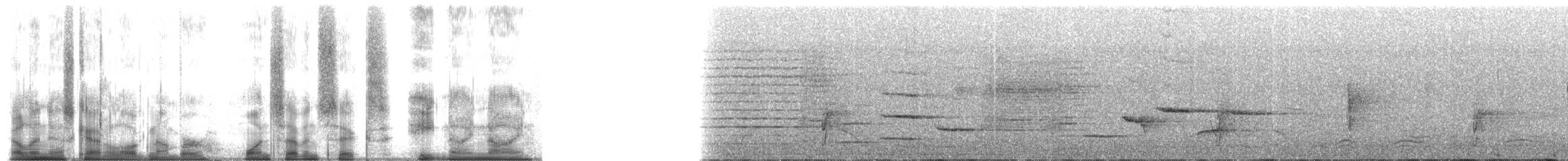 Dark-backed Weaver - ML176899