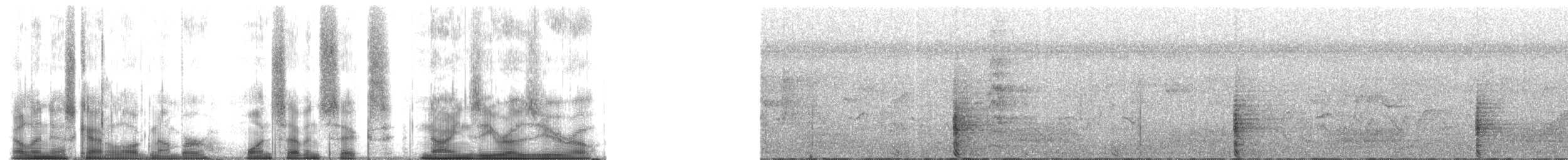 Blue Monkey - ML176900