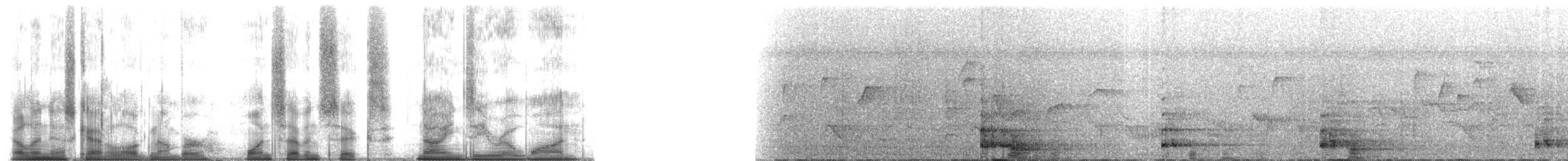 Tana River Crested Mangabey - ML176901