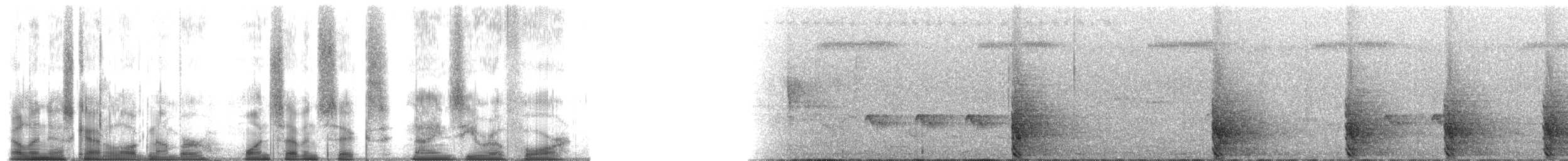 Blue Monkey - ML176904