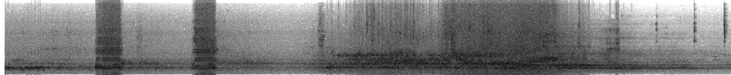 Chihuahuan Raven - ML176904141