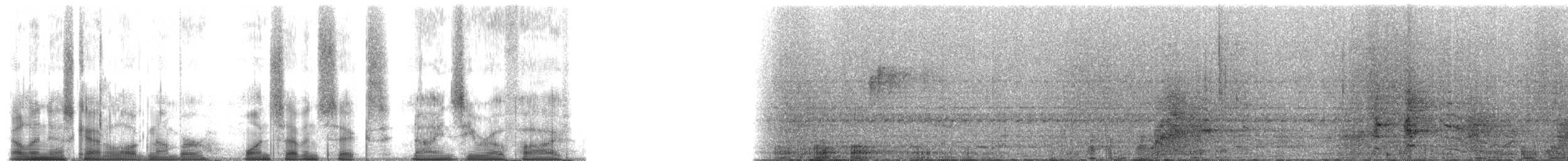 grey-mantled grey-cheeked mangabey - ML176905