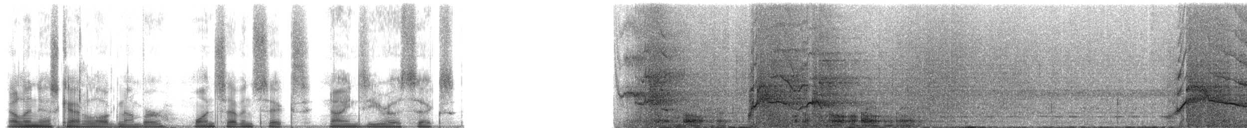 grey-mantled grey-cheeked mangabey - ML176906