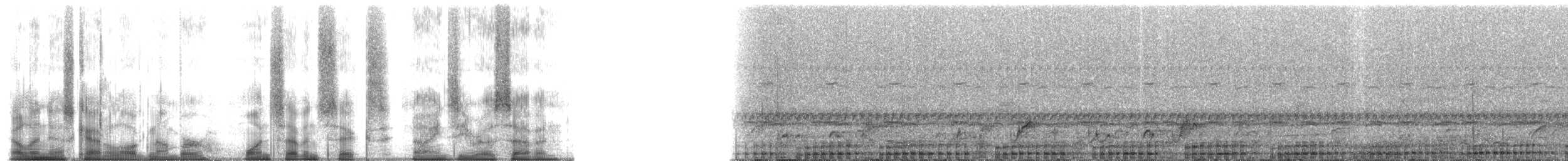 Mantled Guereza - ML176907