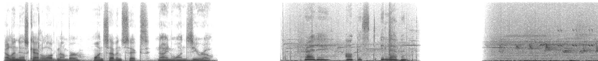 grey-mantled grey-cheeked mangabey - ML176910