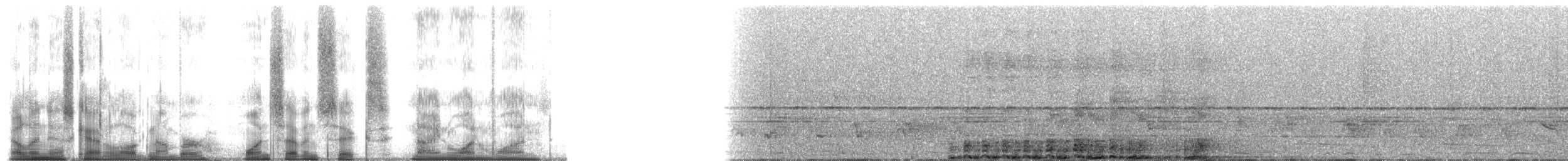 grey-mantled grey-cheeked mangabey - ML176911