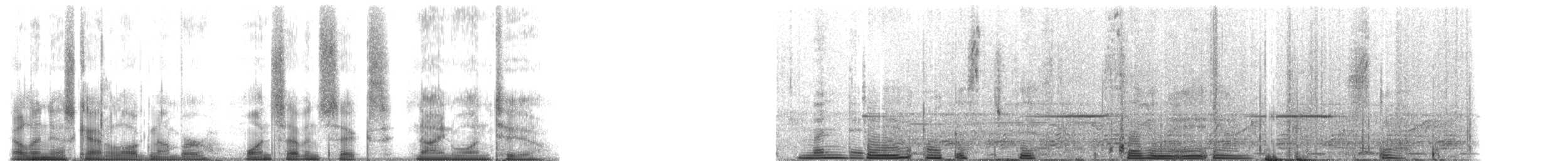 Chimpanzee - ML176912