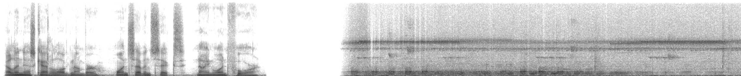 grey-mantled grey-cheeked mangabey - ML176914