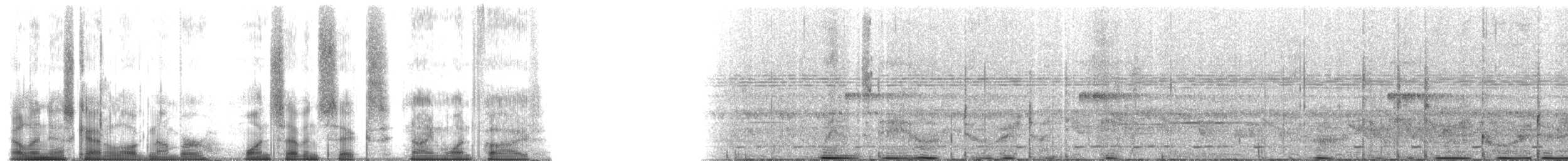 grey-mantled grey-cheeked mangabey - ML176915