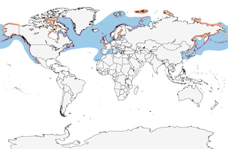 range map