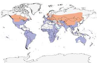 range map