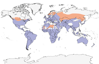 range map