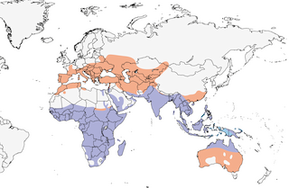 range map