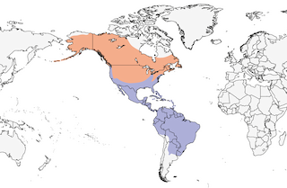range map
