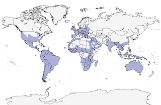 range map