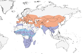 range map