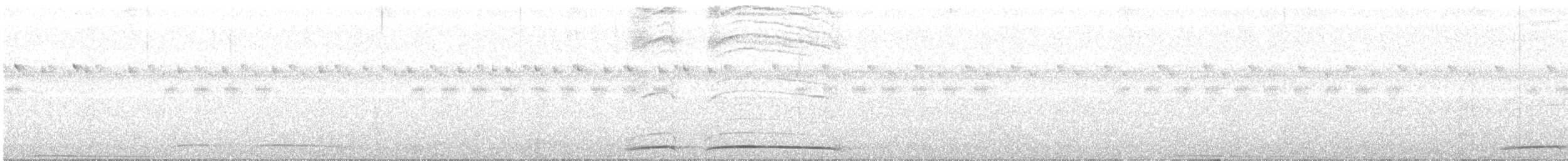 Halmahera Pittası - ML177010731