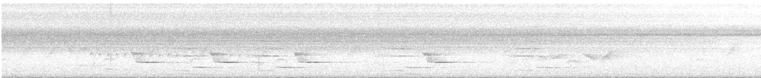 Сверкающий дронго (atrocaeruleus) - ML177015551