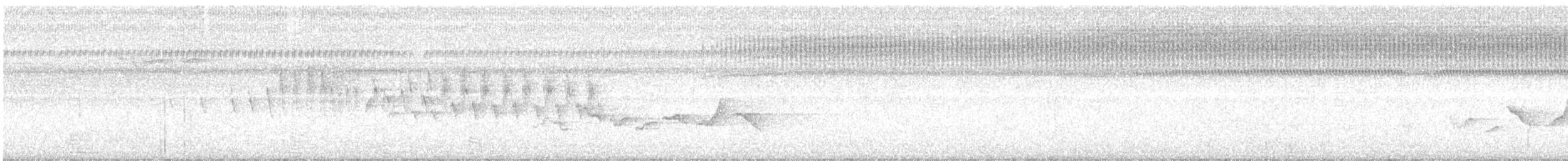 Окулярник біловолий (підвид fuscifrons) - ML177024021