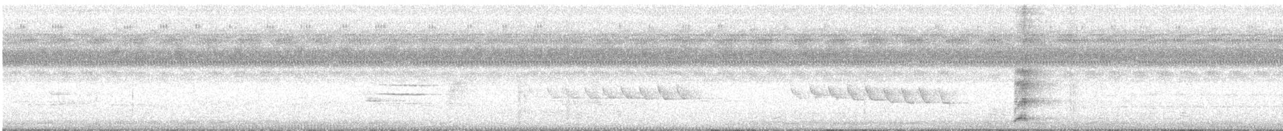 Molukkenparadieskrähe - ML177024081