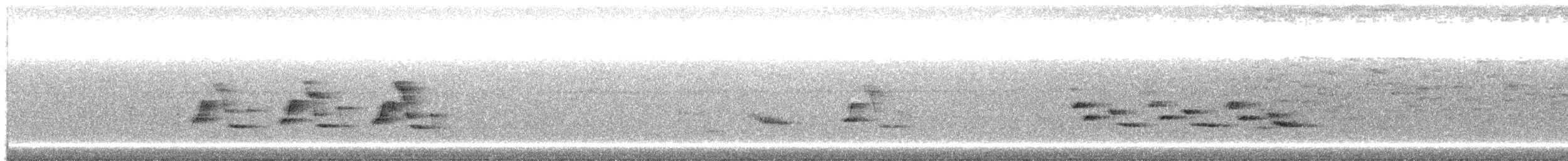 Поплітник каролінський - ML177100121