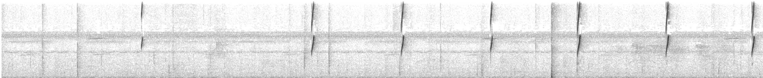 Weißbart-Schattenkolibri - ML177207271
