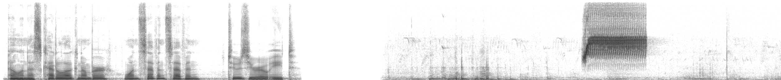 Пятнистый тохи - ML177208